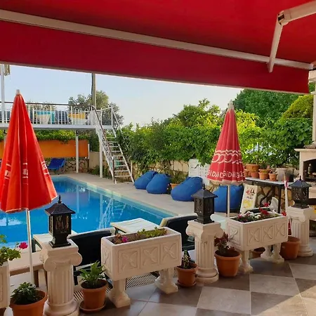 Tulip 4* דליאן