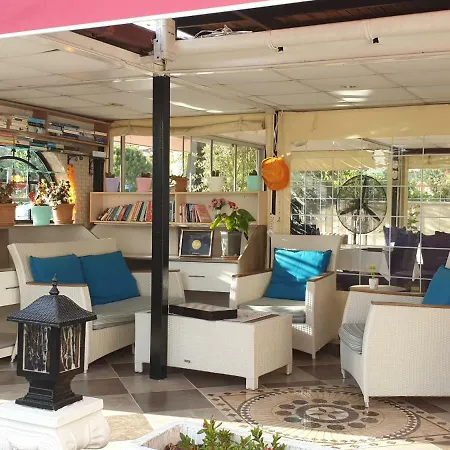 Tulip 호텔 달리안