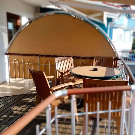 Tulip