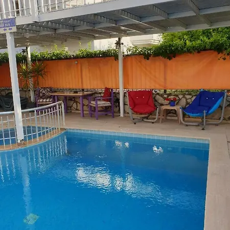 Otel Tulip